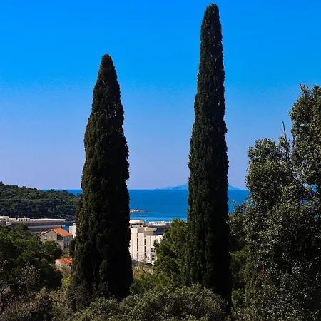 Macan Διαμέρισμα *